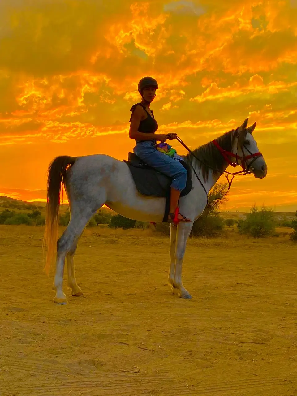 sunrise horse tour