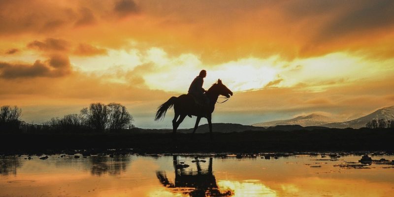 Cappadocia Horse Riding Tours Cappadocia Horse Riding Tours